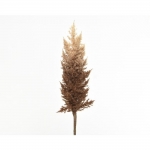  ����������������� �������� ����� pampas Camel Brown 90cm 