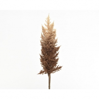    pampas Camel Brown 90cm