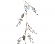       iris berries 120 