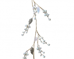      iris berries 120    Epilegin.