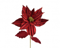     maroon 60    Epilegin.