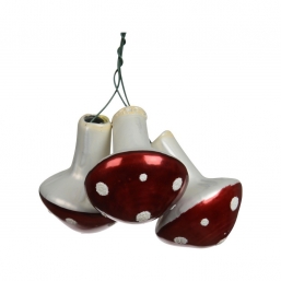 ����������������� ������� ������� Mushroom �� ����� �������-����� 3.2 x4.1�� ��� ��� ������� Epilegin.