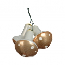 ����������������� ������� ������� Mushroom �� ����� brandy-����� 3.2 x4.1�� ��� ��� ������� Epilegin.