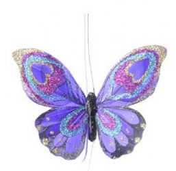    -  3119    Epilegin.