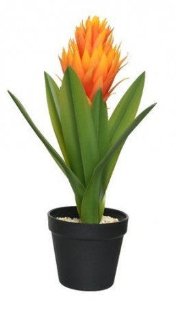 Διακοσμητικό πλαστικό Φυτό Bromelia 20X20X40cm από την εταιρία Epilegin. Διακοσμητικό πλαστικό Φυτό Bromelia 20X20X40cm από την εταιρία Epilegin.