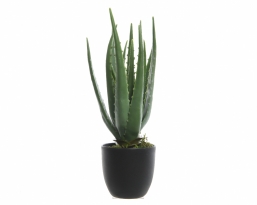 Διακοσμητικό τεχνητό Φυτό Aloe 25x35cm από την εταιρία Epilegin. Διακοσμητικό τεχνητό Φυτό Aloe 25x35cm από την εταιρία Epilegin.