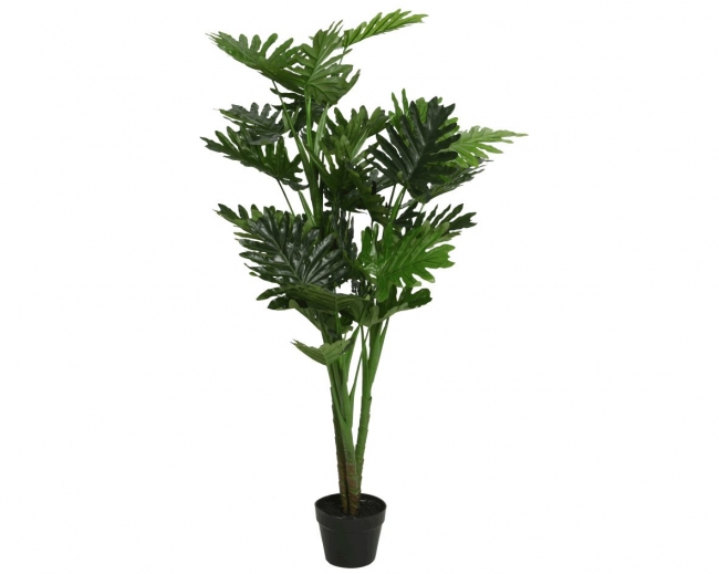     "Philodendron" 96x96x135cm    Epilegin. 