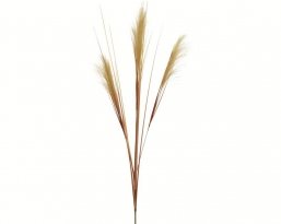 Διακοσμητικό τεχνητό Κλαδί Plume Sand 35x115cm  από την εταιρία Epilegin. Διακοσμητικό τεχνητό Κλαδί Plume Sand 35x115cm  από την εταιρία Epilegin.