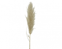 Διακοσμητικό τεχνητό λουλούδι Pampas Cream 10x115cm  από την εταιρία Epilegin. Διακοσμητικό τεχνητό λουλούδι Pampas Cream 10x115cm  από την εταιρία Epilegin.