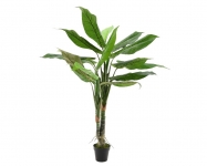  Διακοσμητικό τεχνητό φυτό "Parlour in Pot" 90x90x120cm 