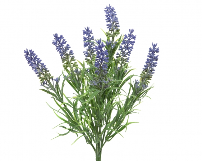  ������������ ������� �������� "�������"  13x13x34cm ��� ��� ������� Epilegin. 