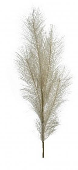 Διακοσμητικό κλαδί Pampas grass White 9Χ80cm από την εταιρία Epilegin. Διακοσμητικό κλαδί Pampas grass White 9Χ80cm από την εταιρία Epilegin.