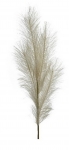  Διακοσμητικό κλαδί "Pampas grass" White 9Χ80cm 