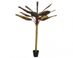 Διακοσμητικό τεχνητό Φυτό Μπανανιά 165x260cm green από την εταιρία Epilegin. Διακοσμητικό τεχνητό Φυτό Μπανανιά 165x260cm green από την εταιρία Epilegin.