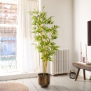  ������������ ������� ���� "Bamboo" 55x80x150cm 