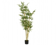  ������������ ������� ���� "Bamboo" 55x80x150cm 
