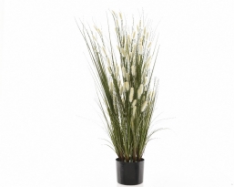 Διακοσμητικό τεχνητό φυτό Grass Cat Tale 50x50x50cm από την εταιρία Epilegin. Διακοσμητικό τεχνητό φυτό Grass Cat Tale 50x50x50cm από την εταιρία Epilegin.