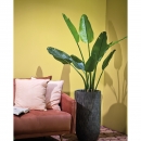  ������������ ������� ���� "Strelitzia" �40x120cm 