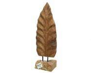    "" Teak 28 X 52cm 
