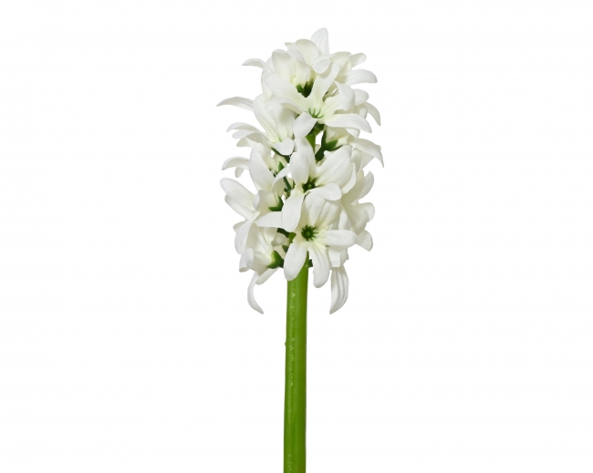  ������������ ������� �������� "��������" ����� �7x22cm ��� ��� ������� Epilegin. 