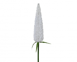   79                                               