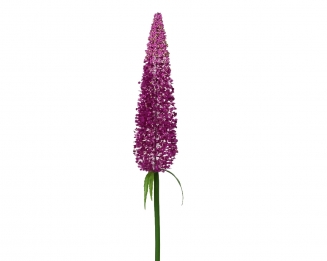   79                                                 