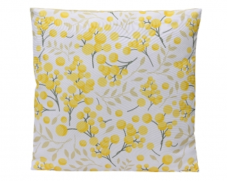 ������������ �������� 