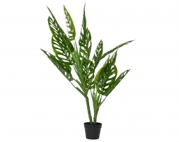 ������������ ������� ���� Monstera �70x120cm ��� ��� ������� Epilegin.
