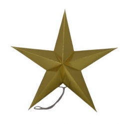     Shiny Gold 45cm    Epilegin.