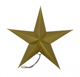     Shiny Gold 60cm    Epilegin.