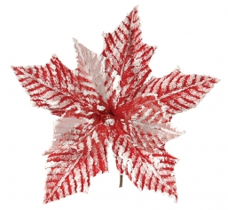 X    20     Epilegin.