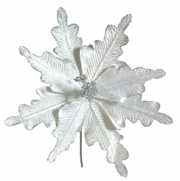    Winter White 20cm    Epilegin.