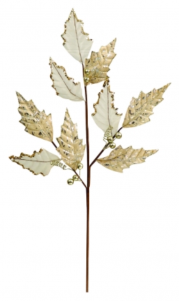   Cream Gold 72cm    Epilegin.