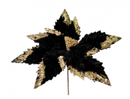    Black-Gold 35cm    Epilegin.
