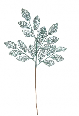    glitter 66X29cm    Epilegin.