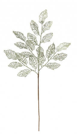    Glitter Sage Green 75cm    Epilegin.