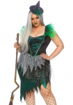    Wicked Witch Plus Size 