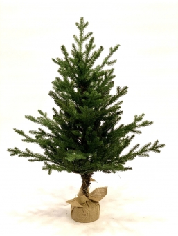   Plastic Norway Mini 0.90m    Epilegin.