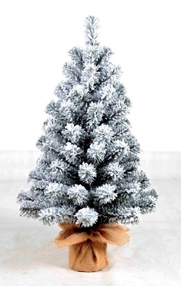    Bansco Mini 0.90m    Epilegin.