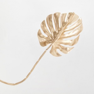    Gold 70cm