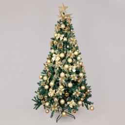 Set 120pcs         Epilegin.