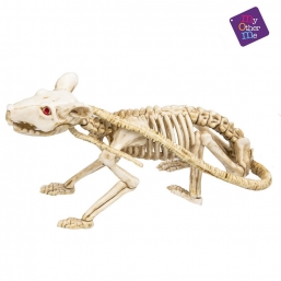   Halloween      Epilegin.