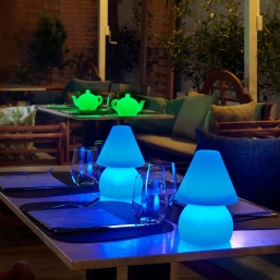  Led RGB Lyxo Design My Light  14 x 20cm    Epilegin.