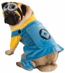 Στολή για σκυλάκι Minion