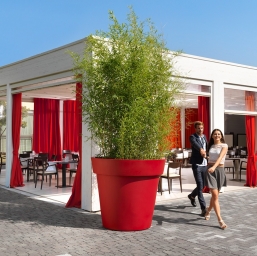  Lyxo Design Easy Pot  130x118x120cm    Epilegin.