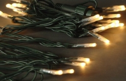 100 �������� GS ������������� ������� ������� - ����� ������� 4.5m ��� ��� ������� Epilegin.