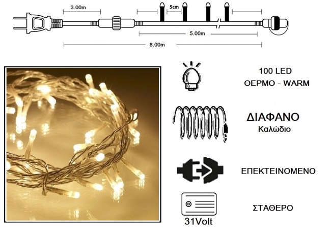  100 LED 31V / & / .  - Warm 5m    Epilegin. 