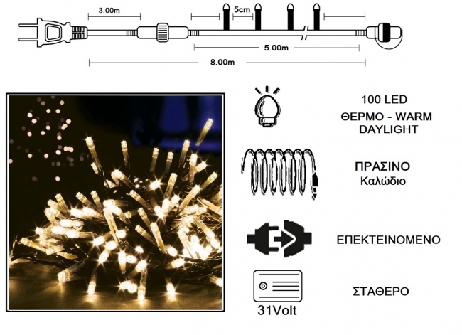  100 LED 31V / & / .  - Warm Daylight 5m    Epilegin. 