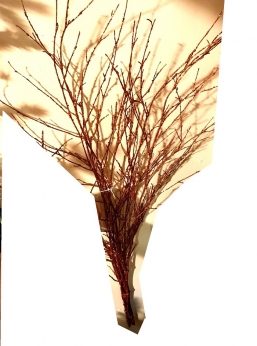   Copper 70cm     Epilegin.