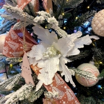 ����������������� ��������� - ������